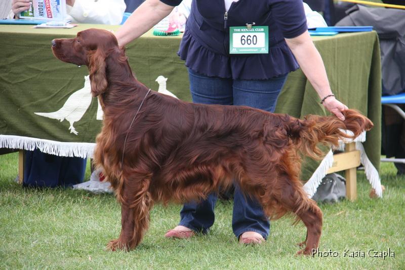 Copper's Champagne On Ice At Aoibheanne (4).jpg